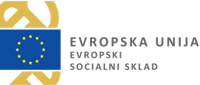 Evropska unija - Evropski socialni sklad